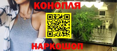 стафф Кизляр
